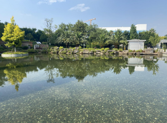 QQͼƬ20220707173610