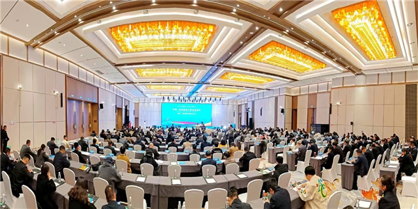 ΢��ͼƬ_20241129165901