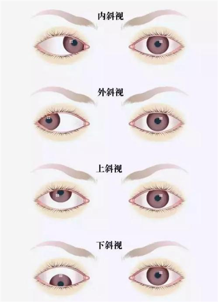 ͼƬ1