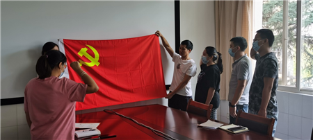 图片8