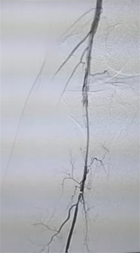 ͼƬ5