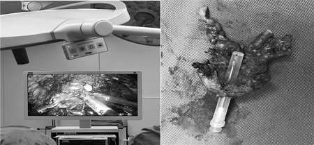 微信截图_20221111111049