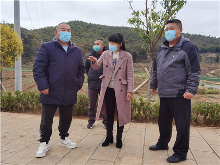 ��㣨�У����˽��ׯ��չ�����