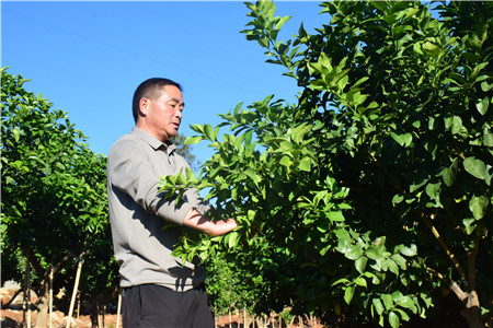 �������ڲ鿴���ٳ��������