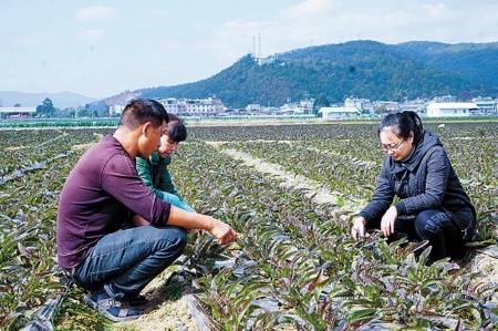 ���������ң�����ֲ��������ֲ������