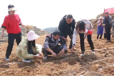 �˴������������Ϊ������нʹ�������ʾ��