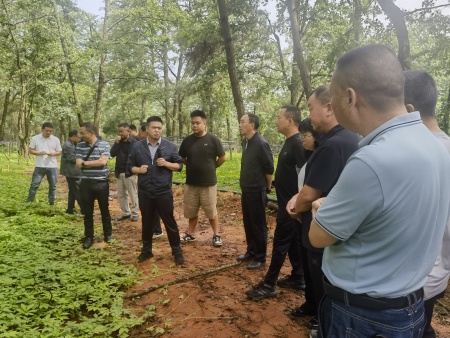 ΢��ͼƬ_20250723174037