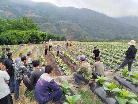 ΢��ͼƬ_20250805145018