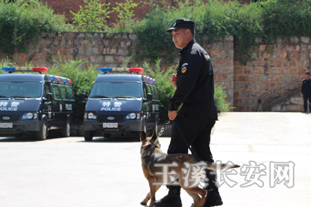 ���ںͰ���