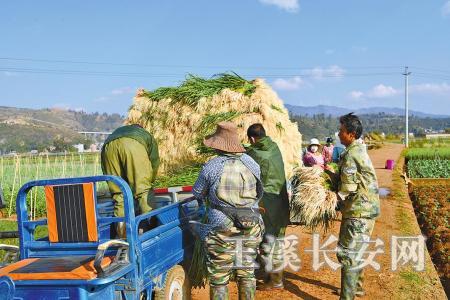 װ������������