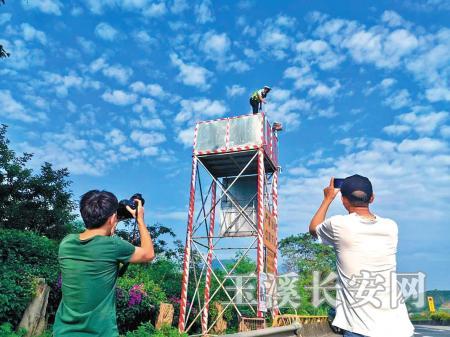 ý��ɷú�����