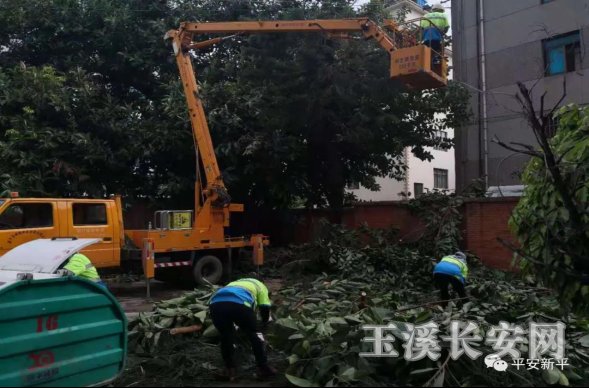 ������Ѷ��90�� ��ƽ��ί����ί��������������С� ��ʵ�ƽ������������߸�ר���ж���1190