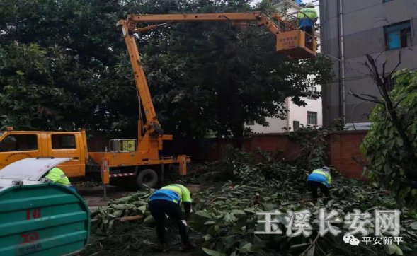 ������Ѷ��90�� ��ƽ��ί����ί��������������С� ��ʵ�ƽ������������߸�ר���ж���1212