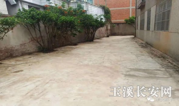 ������Ѷ��90�� ��ƽ��ί����ί��������������С� ��ʵ�ƽ������������߸�ר���ж���1236