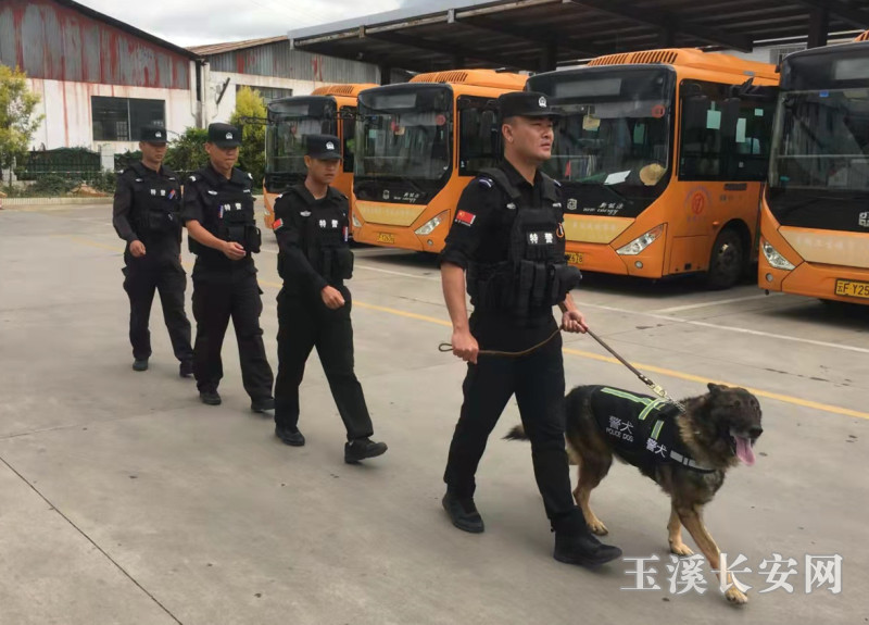 警犬巡逻