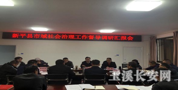 新平政法简报第4期 市委政法委督导调研新平县市域社会治理现代化试点工作133