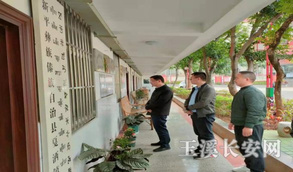 新平政法简报第4期 市委政法委督导调研新平县市域社会治理现代化试点工作243