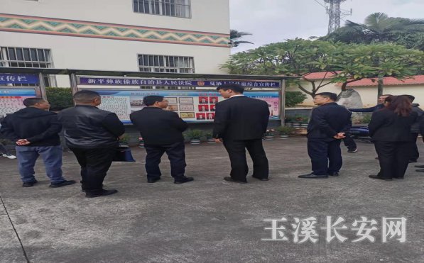 新平政法简报第4期 市委政法委督导调研新平县市域社会治理现代化试点工作251