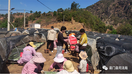 ΢��ͼƬ_20230410171241 ����