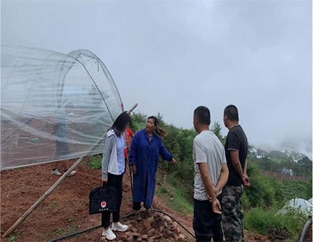 微信图片_20230815103646 副本