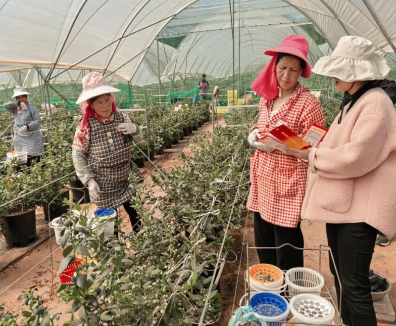 ΢ͼƬ_20250402110134