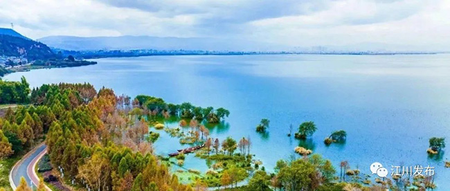 微信图片_20250514103522