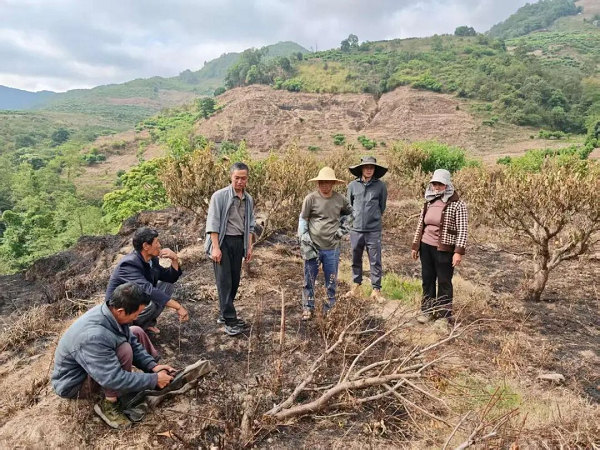 微信图片_20250723091722