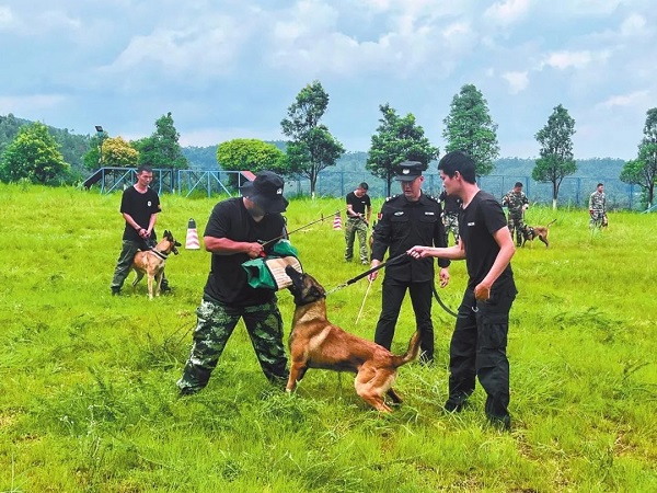 ΢��ͼƬ_20250731092845