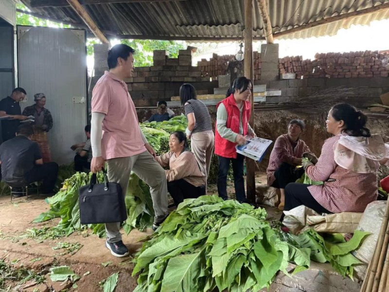 ΢ͼƬ_2025-08-19_104410_202