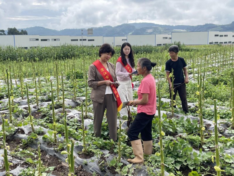 ΢ͼƬ_2025-08-19_104413_611