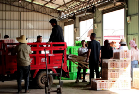 微信图片_20250909085426