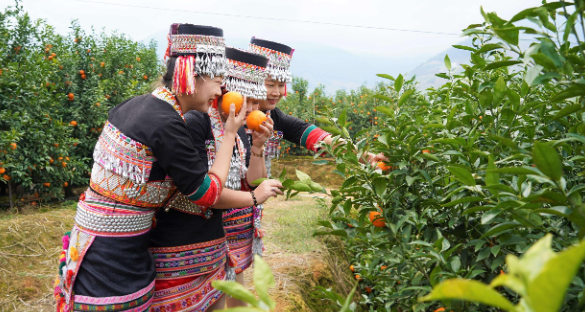 ΢��ͼƬ_2025-11-18_094953_965