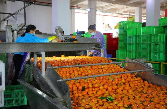 ΢��ͼƬ_2025-11-18_094957_484