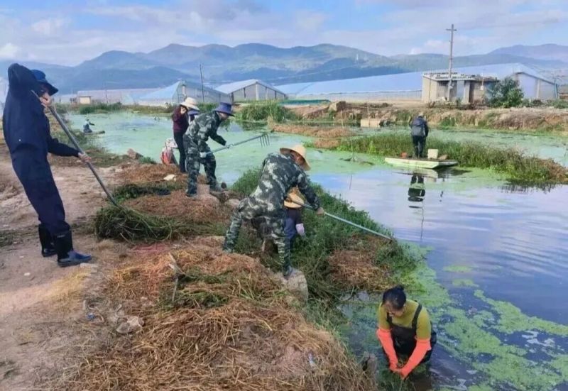 ΢��ͼƬ_2025-11-18_095359_126