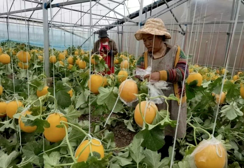 ΢��ͼƬ_2025-11-18_095402_832