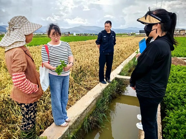 微信图片_2025-12-08_091019_018