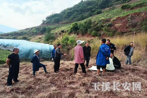 ΢��ͼƬ_20251225164507_2_5