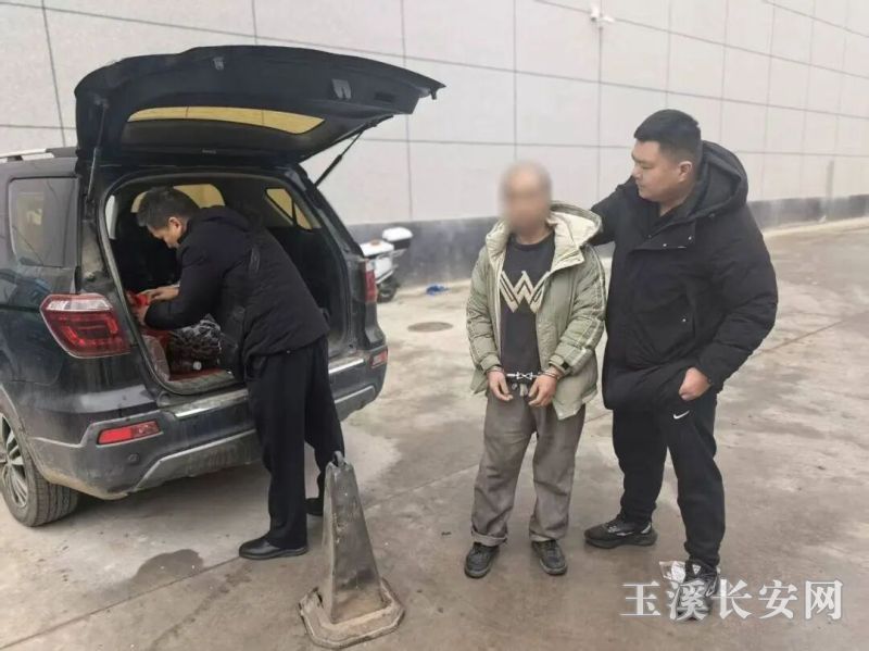 ΢��ͼƬ_20260109154555_168_3